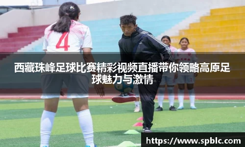 im电竞官网