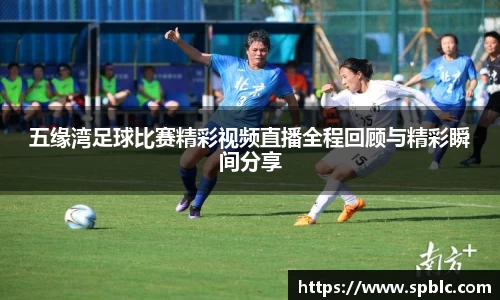 im电竞平台官网