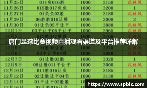 im电竞平台官网