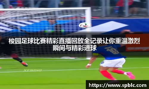 im电竞平台官网