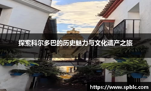 im电竞·电子竞技平台