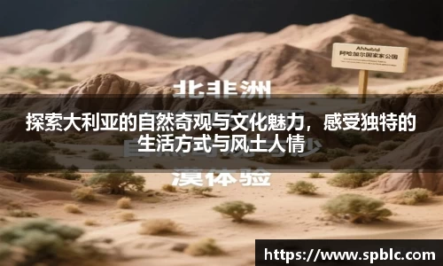 im电竞平台官网